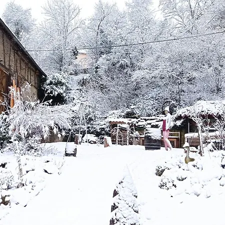 Tom's Huette * Udler